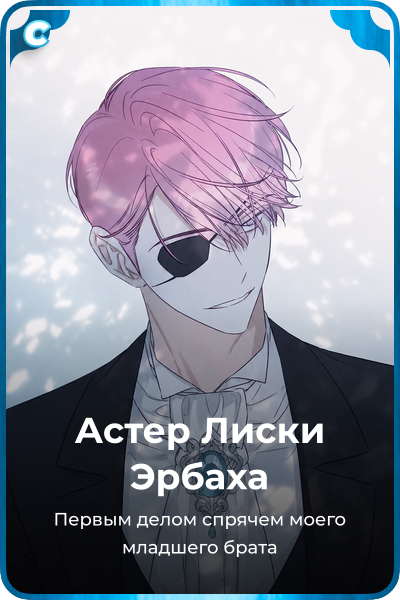 Астер Лиски Эрбаха