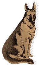 Горо