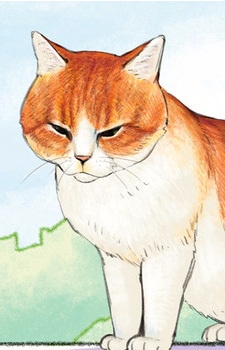 Осаму