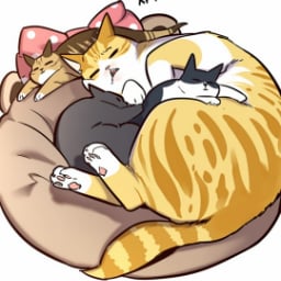 Кошатники и не только