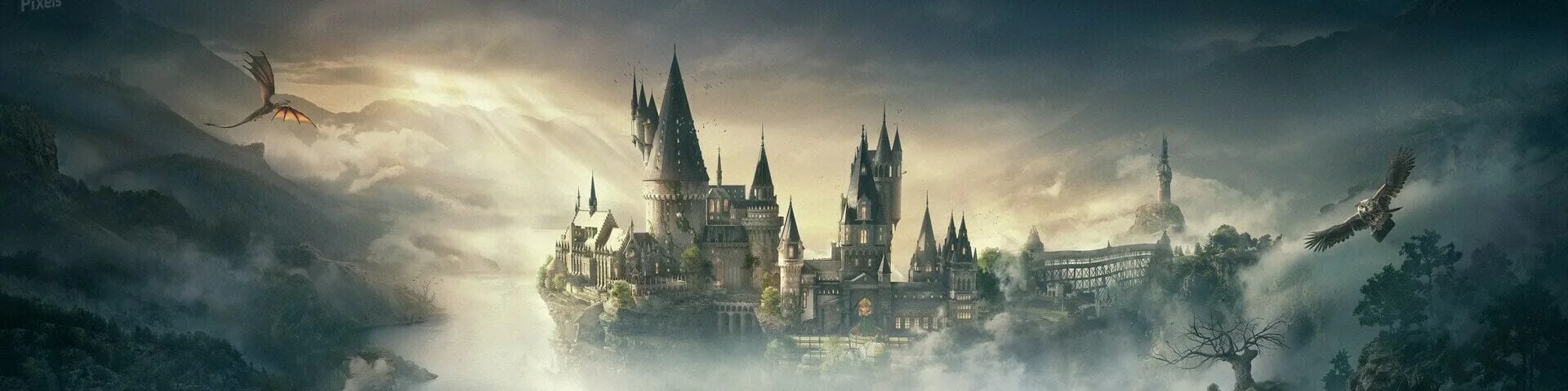 King zero's banner