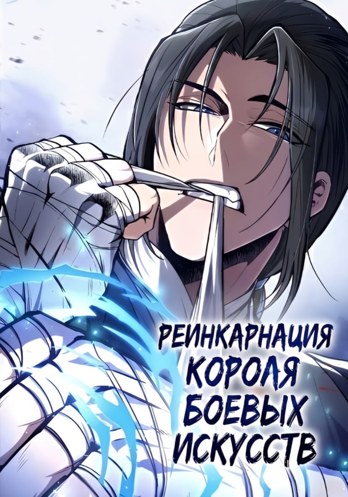 Реинкарнация Короля Боевых Искусств