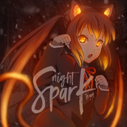Night Spark Team