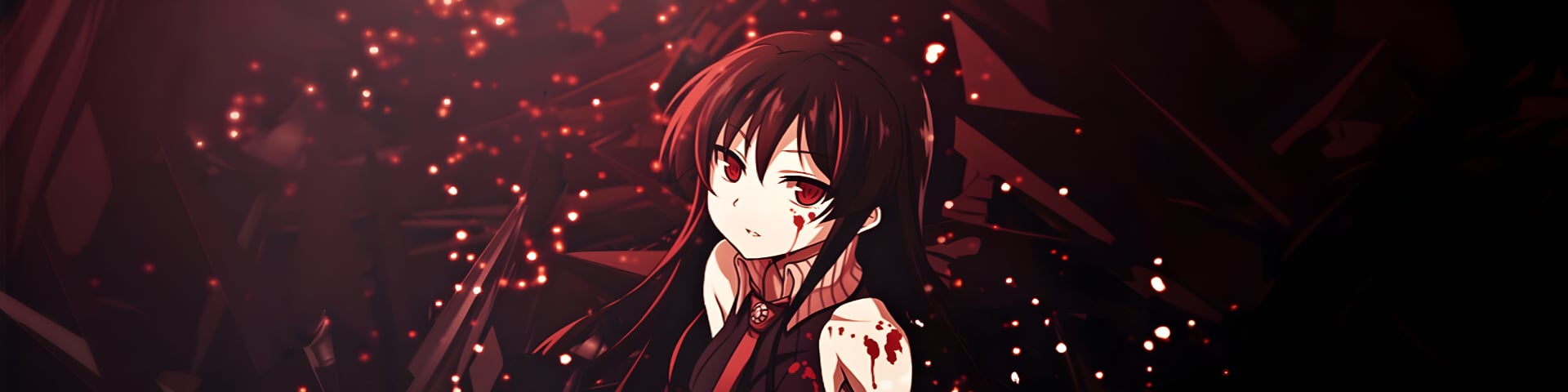 NaraSaki's banner