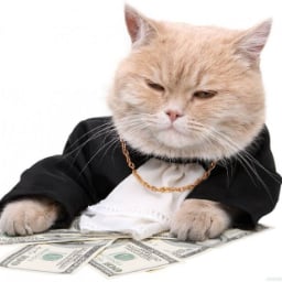 MoneyLover