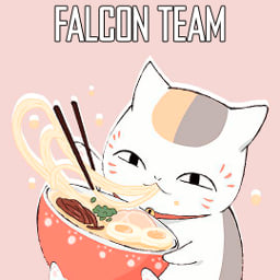 Falcon Team