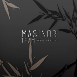 MasinorTeam