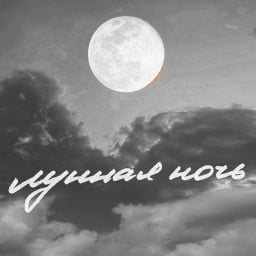 Лунная Ночь