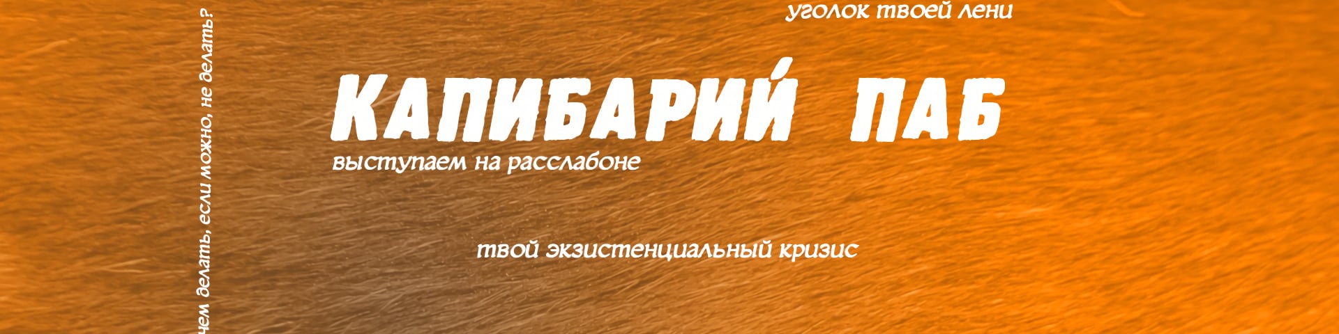Паб Капибары's banner