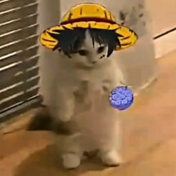 Choresh