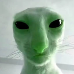GreenCatLover