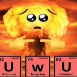 NuRenzus