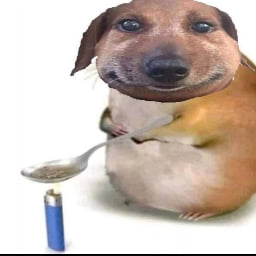 Михаил Моисеев