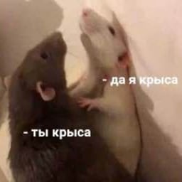 Salat[культ Софиен]
