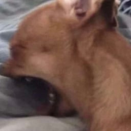 Zen