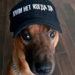 NikoNi