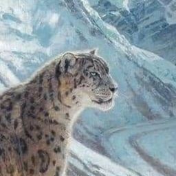 Snow.kitty