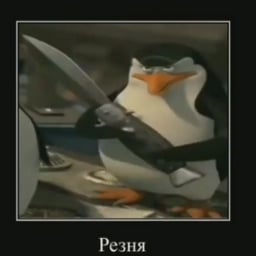 Листик гладиолуса
