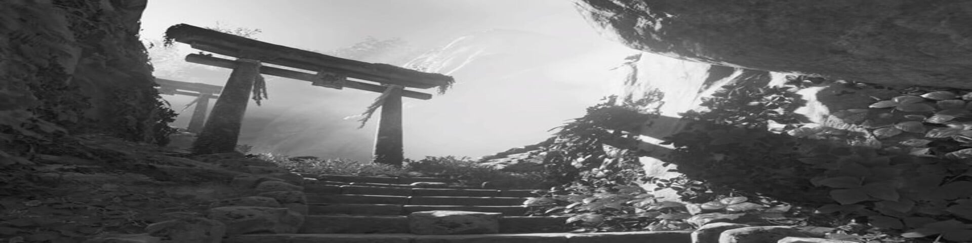 evecel's banner