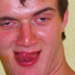 Vant