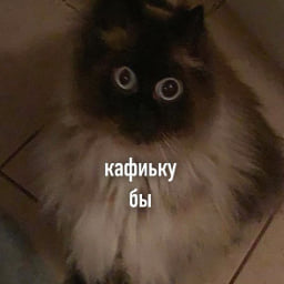 Makes