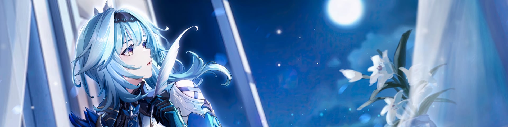 Sadina's banner