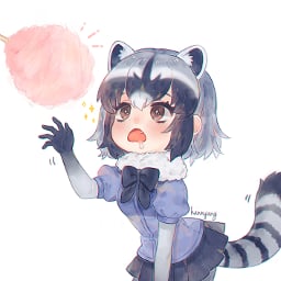 Енот