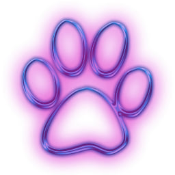 stepKOT