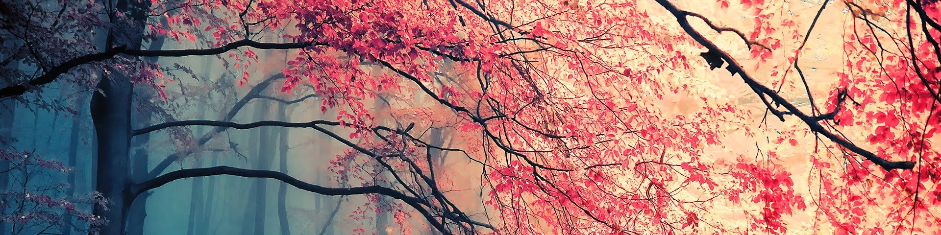 JinOfDeath's banner
